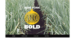 Desktop Screenshot of newyorkbold.com